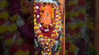 jinka bharosa Veer Hanuman music love song bakti [upl. by Charlean531]