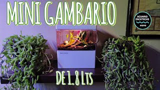 MINI GAMBARIO DE 18Lts [upl. by Fidel]