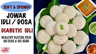 Jowar Idli  Jonna Idli  Dosa Diabetic Friendly Healthy Gluten Free Recipe without Rice amp Soda [upl. by Calvin]