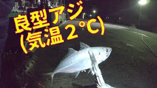 ５分ごとにアジが釣れました【波崎新港】 [upl. by Melac673]