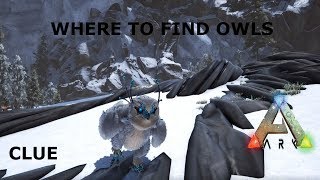 Ark Survival Evolved Where to find an Owl  Short and Easy answer [upl. by Eelirak192]