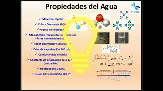 Sesión 05 Agua y electrolitos I [upl. by Dragde]