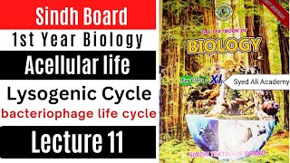 lysogenic cycle  acellular life  1st Year biology Sindh text book board new Book class 11 [upl. by Bartolemo]