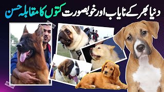 Beautiful Dog Show in Lahore amp Beauty Contest of Dogs [upl. by Aloise]