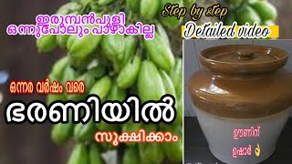 Irumban puli recipeHow to preserve irumban puli in long time Bilimbi recipepulinjika [upl. by Casanova]