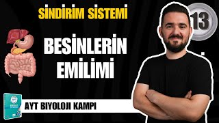 AYT Biyoloji Kampı  13 GÜN  Besinlerin Emilimi  yks2025 [upl. by Arahsit]