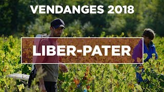 LIBER PATER  VENDANGES 2018  REPORTAGE  MILLESIMA [upl. by Bluma509]