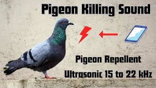 Anti Pigeon Repellents Sound  Keep Pigeons away  Ultrasonic sound 15 to 20Khz pigeon chasepigeon [upl. by Acinoed]