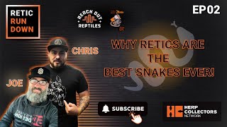 Retic Rundown Episode 2  Why Retics Are THE BEST SNAKES EVER [upl. by Amsed]