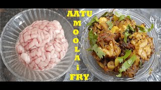 AATU MOOLAI FRY  Goat Brain Fry Recipe In Tamil [upl. by Nyahs]