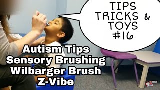 AUTISM Sensory Wilbarger Brushing ZVibe  Tips Tricks Toys 16 Sensory Input Body and Mouth [upl. by Swaine943]