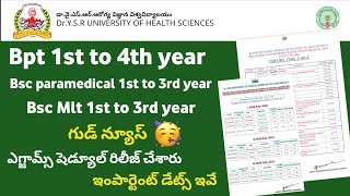 DR YSR UNIVERSITY 2024 Bpt Bsc mlt Paramedical Exams Time table Schedule Released [upl. by Dallas845]