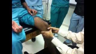 Mobilization of Knee amp Ankle [upl. by Ettelrahc]