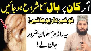 Kan Par Baal aany Ka Raaz JanienKnow The Secret Of Hair Growth On The EarsNoor Ul Irfan academy [upl. by Knowles]