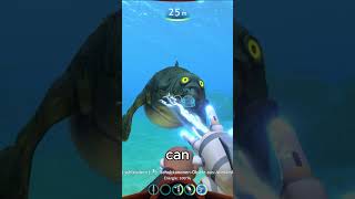 Subnautica 2  All you need to know [upl. by Lede]