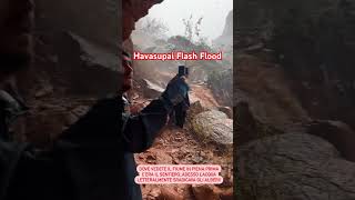 Havasupai Falls Flash Flood [upl. by Arney]