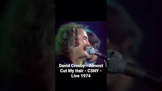 David Crosby  Almost Cut My Hair  CSNY  Live 1974 [upl. by Ivek]