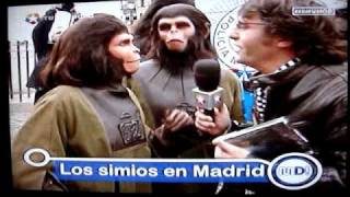 Planet of the Apes invade MADRID SPAIN DEC 2008 [upl. by Eceryt]