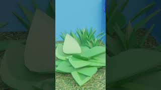 Polygon 3D Leaf [upl. by Benny237]