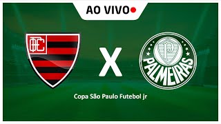 OESTE X PALMEIRAS  AO VIVO  COPA SP 2024  COPINHA 2024 [upl. by Kienan]