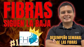 Fibras Siguen Cayendo  FHIPO Recupera La Corona FNOVA Debajo de Su NAV  Desempeño de las FIBRAS [upl. by Blessington781]