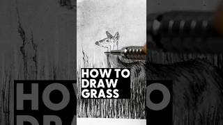 How to draw grass [upl. by Bard602]