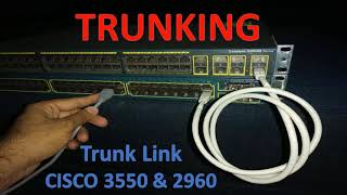 how to configure trunk port on cisco switch  Trunk Port configuration [upl. by Oiliduab657]