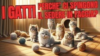 CuriositÃ sui gatti [upl. by Rutger]