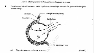 Biology paper 2 KCSE 2015 biology revision questions and answers quiz exams improve grades [upl. by Wallace]