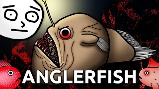 The Unbelievably Deranged World of Anglerfish [upl. by Deirdre]