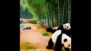 Le Panda animaux lifehack animals lifehacks pets triviatime [upl. by Lurie404]