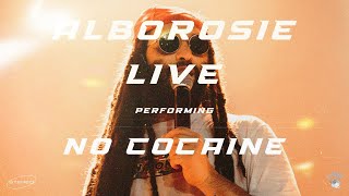 Alborosie amp Shengen Clan  No Cocaine Live  Paris Bataclan 2022 [upl. by Yeloc]