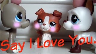 Lps Say I Love You Short Film [upl. by Nosrak48]