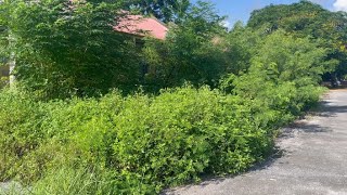 Clearing Overgrown Grass to Revive 2 Abandoned Homes  Transforming a Buried Front Yard [upl. by Gasser]