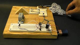 DIY Electronic Mousetrap [upl. by Amalburga]