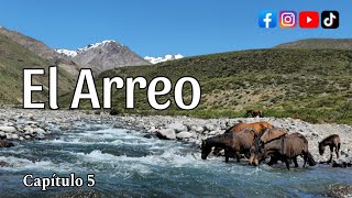 Arreo de Caballos Cabras y Ovejas a la Veranada de la Cordillera de los Andes Trashumancia Arrieros [upl. by Zetnahs]