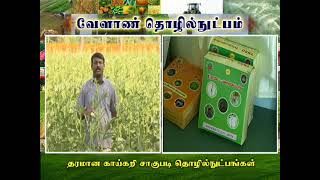 7 ICAR KVK Coimbatore Quality Vegetable Cultivation Techniques [upl. by Sdlonyer613]