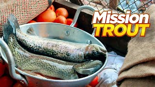 Most Expensive Trout Fish in Pakistan Rs2500KG  Live Cooking at Waterfall  Pakistan Street Food [upl. by Calida749]