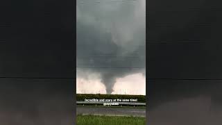 Tornadoes all over Palm Beach and Westlake area FL as part of Hurricane Milton [upl. by Salas]