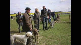 Sussex Longdog Race Day 10th April 2022 [upl. by Eicnan]