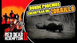 Donde cazar ZORRILLO O MOFETA  LOCALIZACIÓN EN RED DEAD REDEMPTION 2  RDR2 [upl. by Pisano]