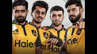 Peshawar Zalmi New Song Pashto 🇵🇰🏏peshawerzalmi [upl. by Linders]