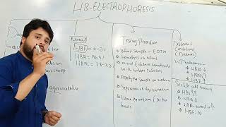 Hb electrophoresis Test  Procedure and Importance of Hb electrophoresis Test [upl. by Aetnahs]