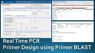 Primer designing for real time PCR using NCBI Primer Blast [upl. by Ayekehs]