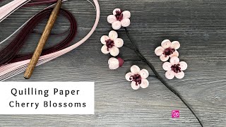 How to Make Quilling Paper Cherry Blossoms  Spring Paper Crafts  Quilling for Beginners [upl. by Karola723]