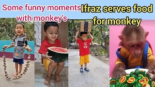 Ifraz serves food for monkey  funny mmoments with monkey 🐒 youtubeshorts funny shortsvideo [upl. by Marucci]