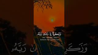 TilawateQuranquranrecitation quran viral trending shortslove [upl. by Henning]