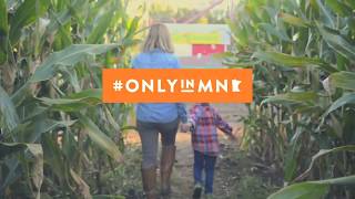 Fall in MN Apples Pumpkins amp Corn Mazes [upl. by Assenay]