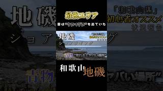 【青物狙い】隠れ一級ポイントでロックショアジギング 和歌山北部 shorts [upl. by Annah]