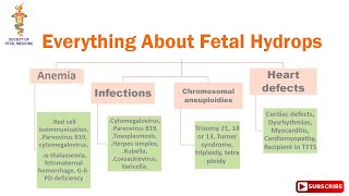 Everything About Fetal Hydrops [upl. by Valry841]